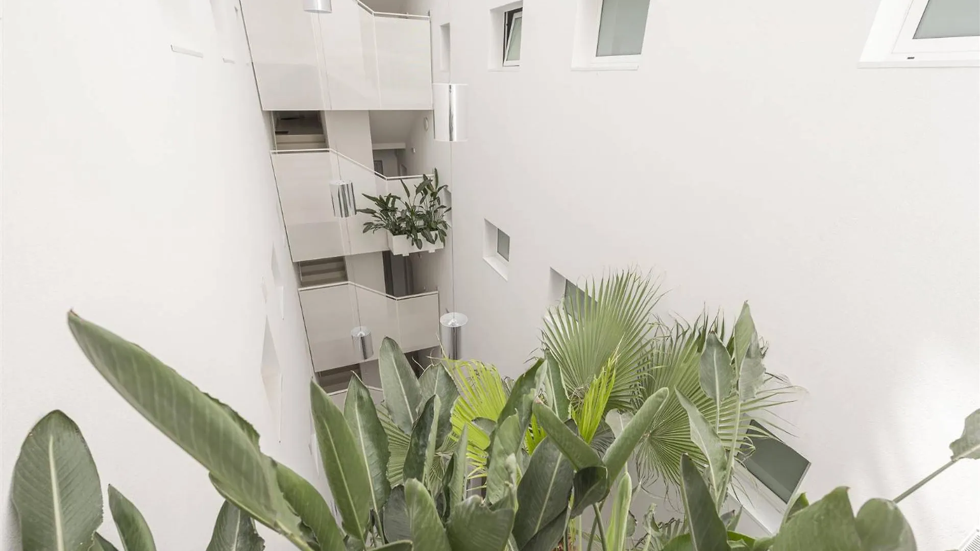 לידו די ג'סולו Palm Beach T לידו די ג'סולו